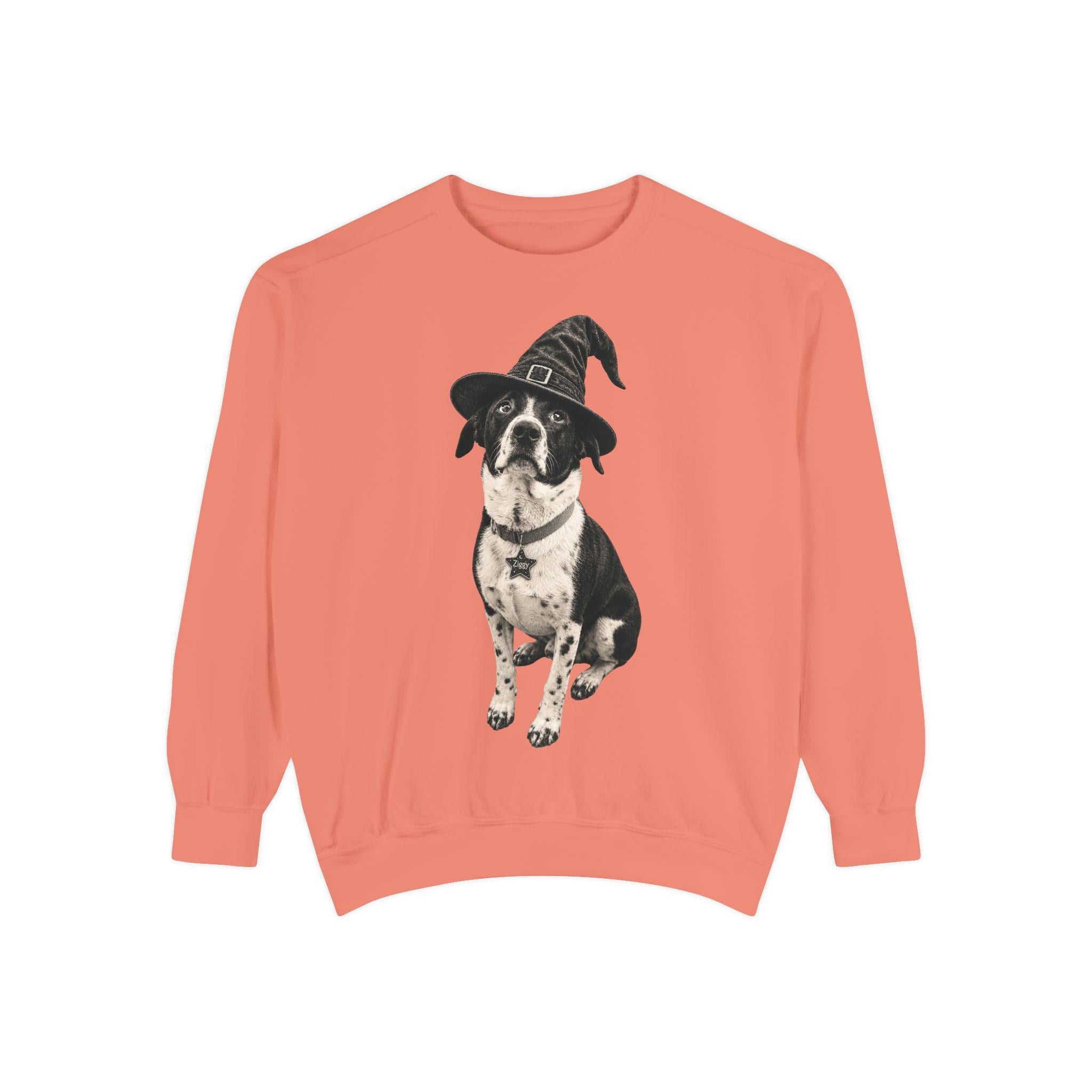 Custom Pet in Witch Hat Sweatshirt | Halloween Dog Crewneck
