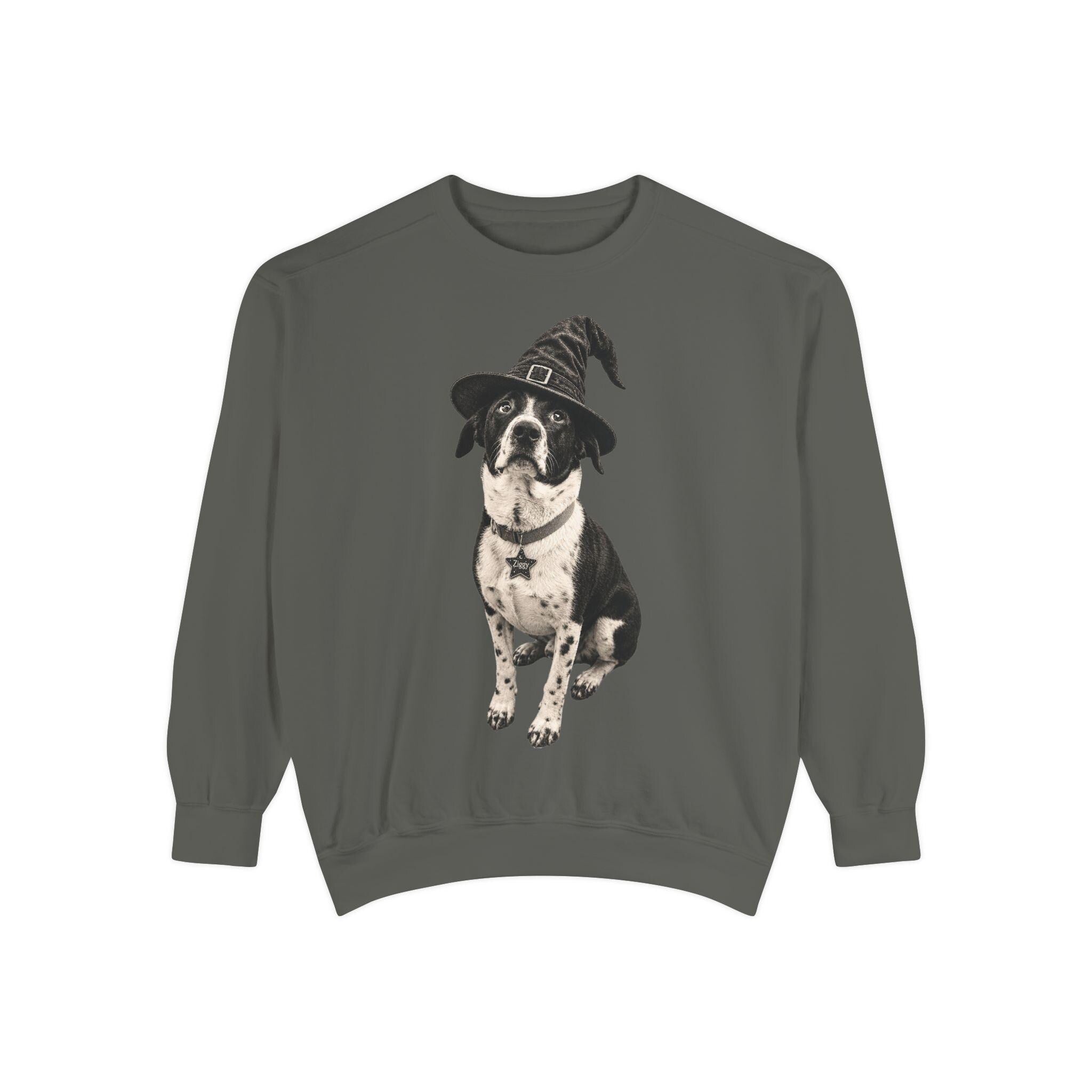 Custom Pet in Witch Hat Sweatshirt | Halloween Dog Crewneck