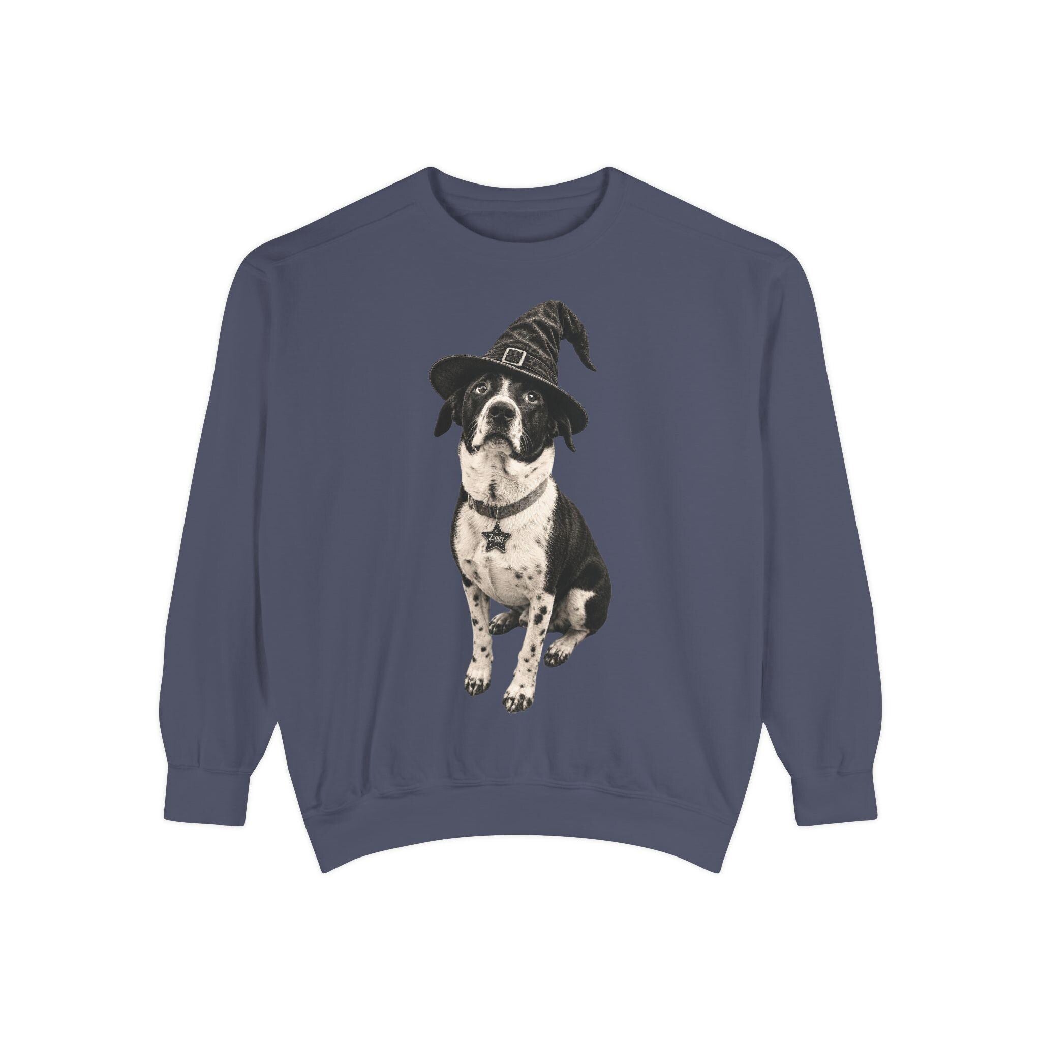 Custom Pet in Witch Hat Sweatshirt | Halloween Dog Crewneck